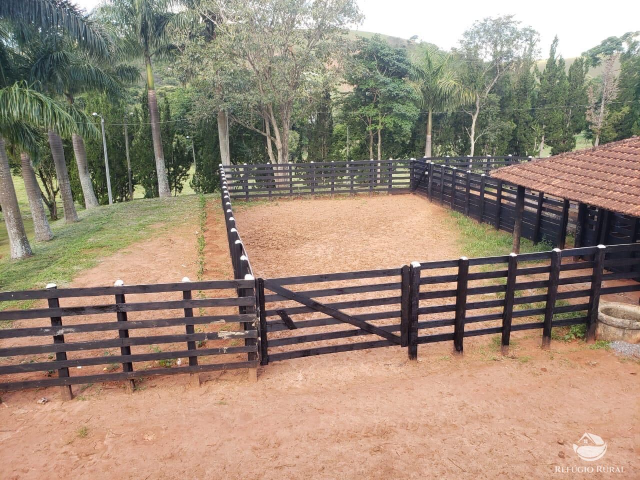 Fazenda à venda com 2 quartos, 4428600m² - Foto 18