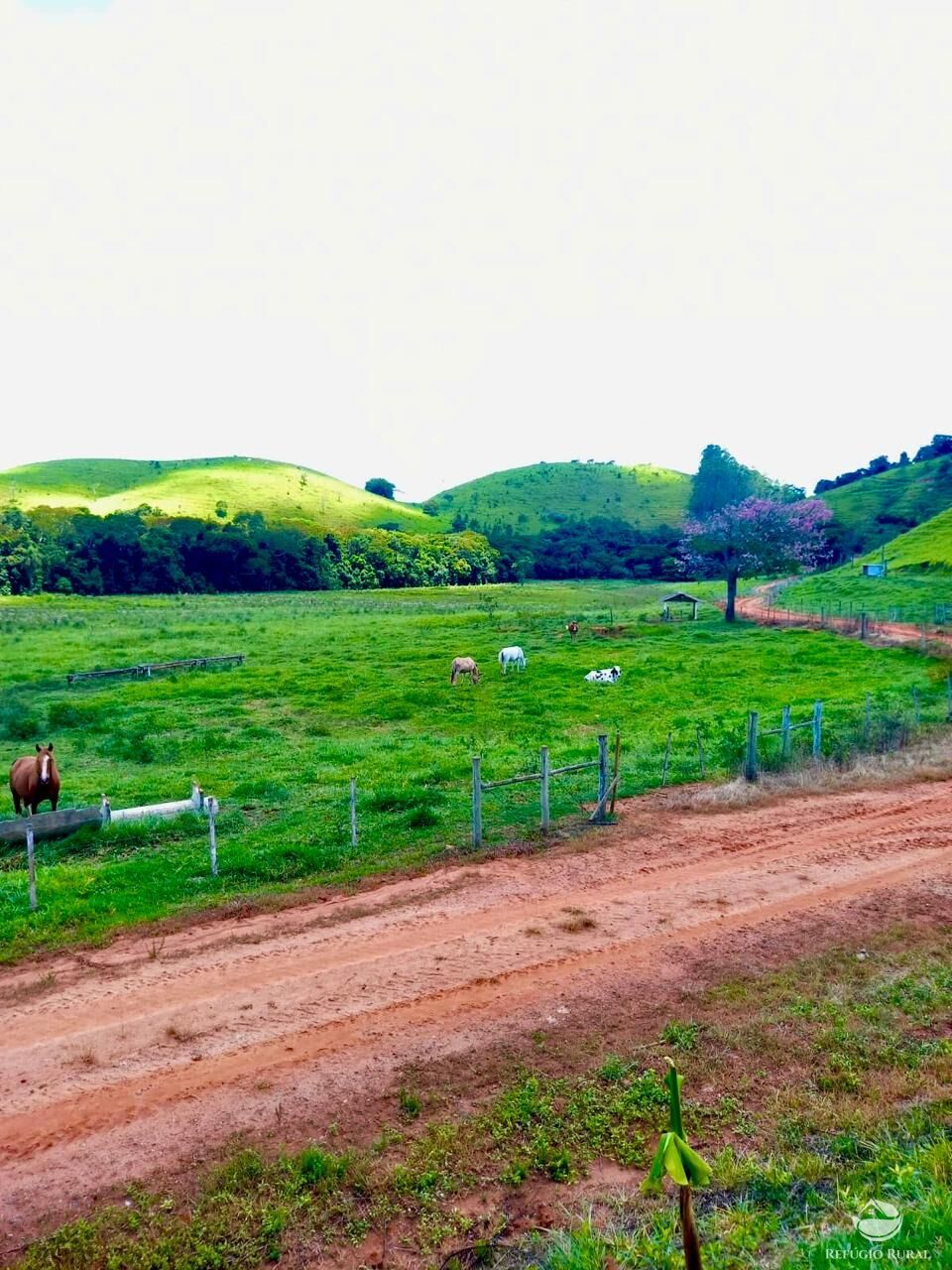 Fazenda à venda com 2 quartos, 4428600m² - Foto 6