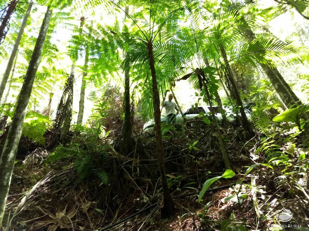 Fazenda à venda, 246800m² - Foto 2