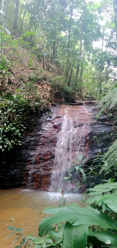 Fazenda à venda, 246800m² - Foto 13