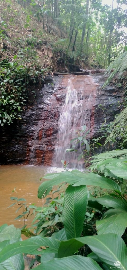 Fazenda à venda, 246800m² - Foto 16