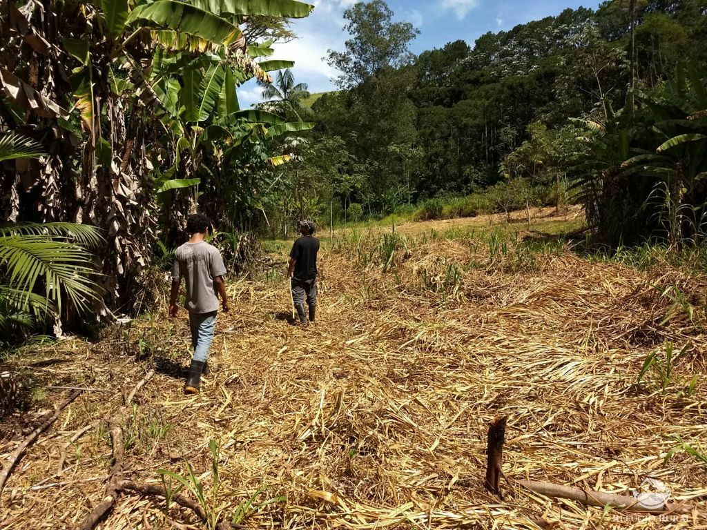 Fazenda à venda, 246800m² - Foto 7