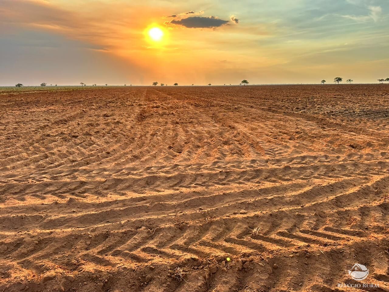 Fazenda à venda com 1 quarto, 110000000m² - Foto 1