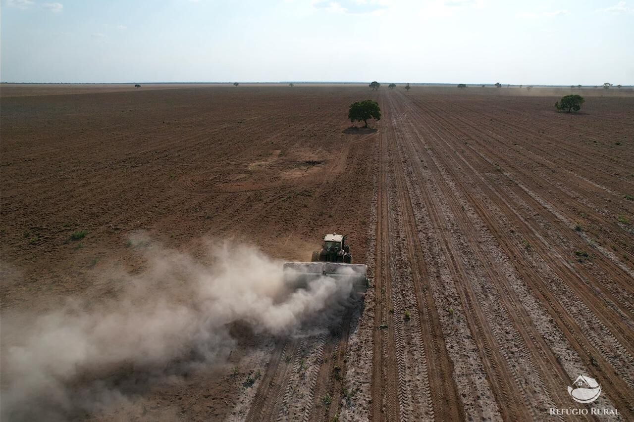 Fazenda à venda com 1 quarto, 110000000m² - Foto 15