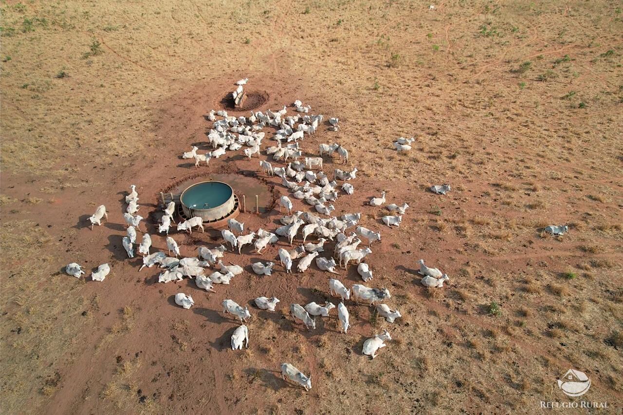 Fazenda à venda com 1 quarto, 110000000m² - Foto 4