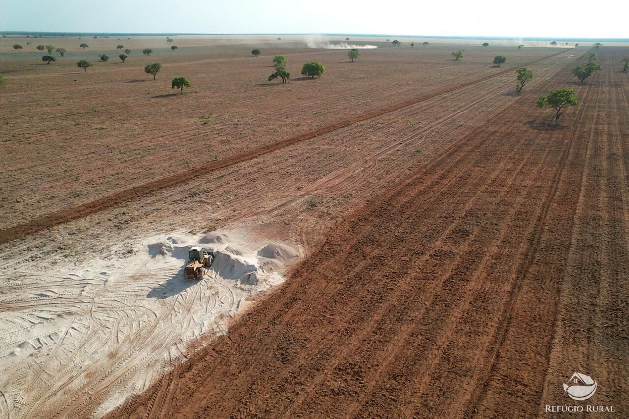 Fazenda à venda com 1 quarto, 110000000m² - Foto 3