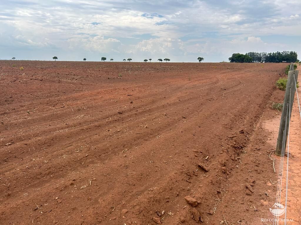 Fazenda à venda com 1 quarto, 110000000m² - Foto 11