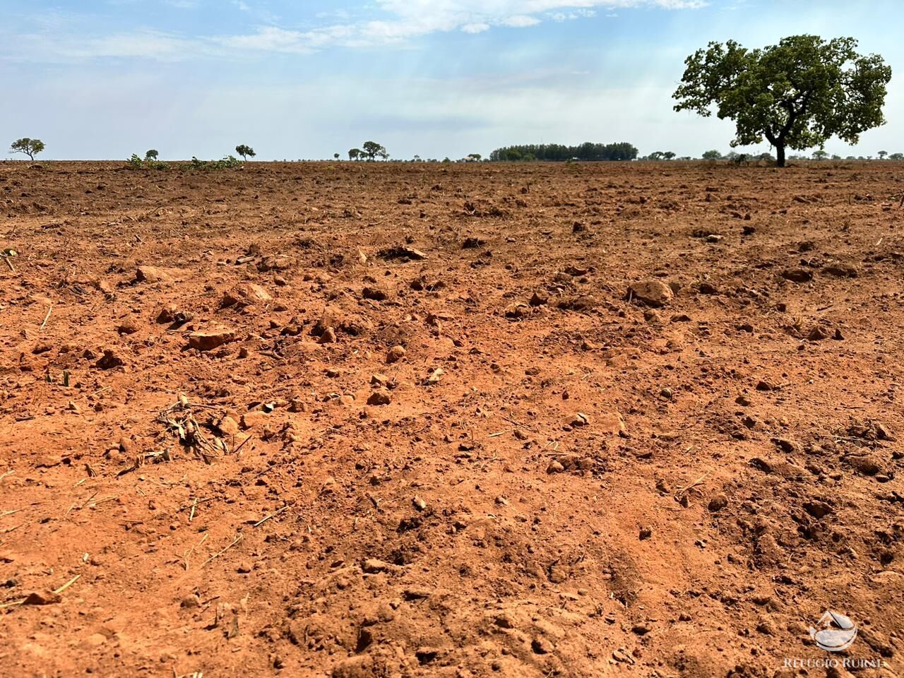 Fazenda à venda com 1 quarto, 110000000m² - Foto 13