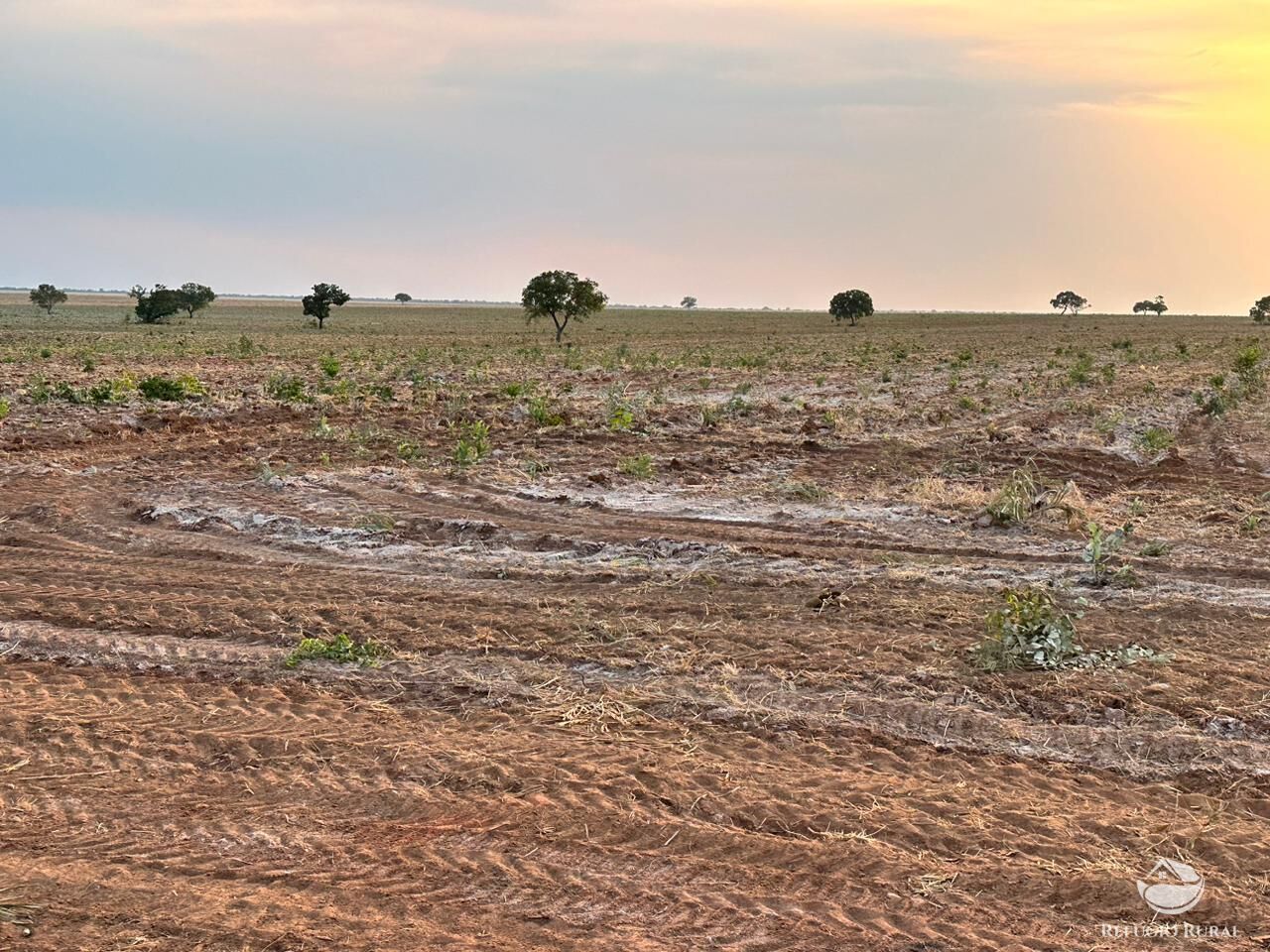 Fazenda à venda com 1 quarto, 110000000m² - Foto 6