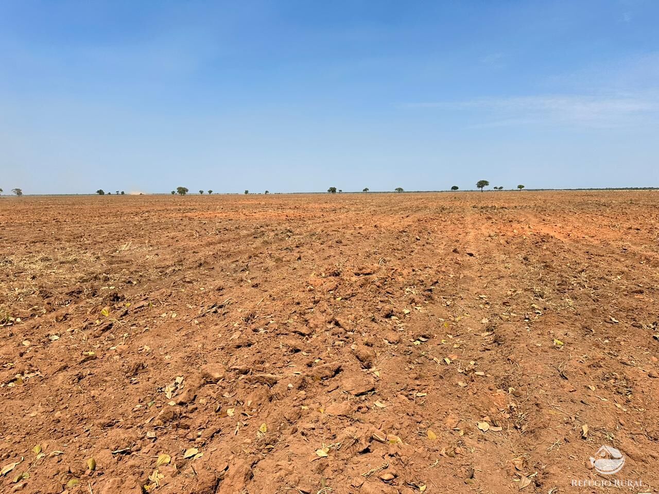 Fazenda à venda com 1 quarto, 110000000m² - Foto 8