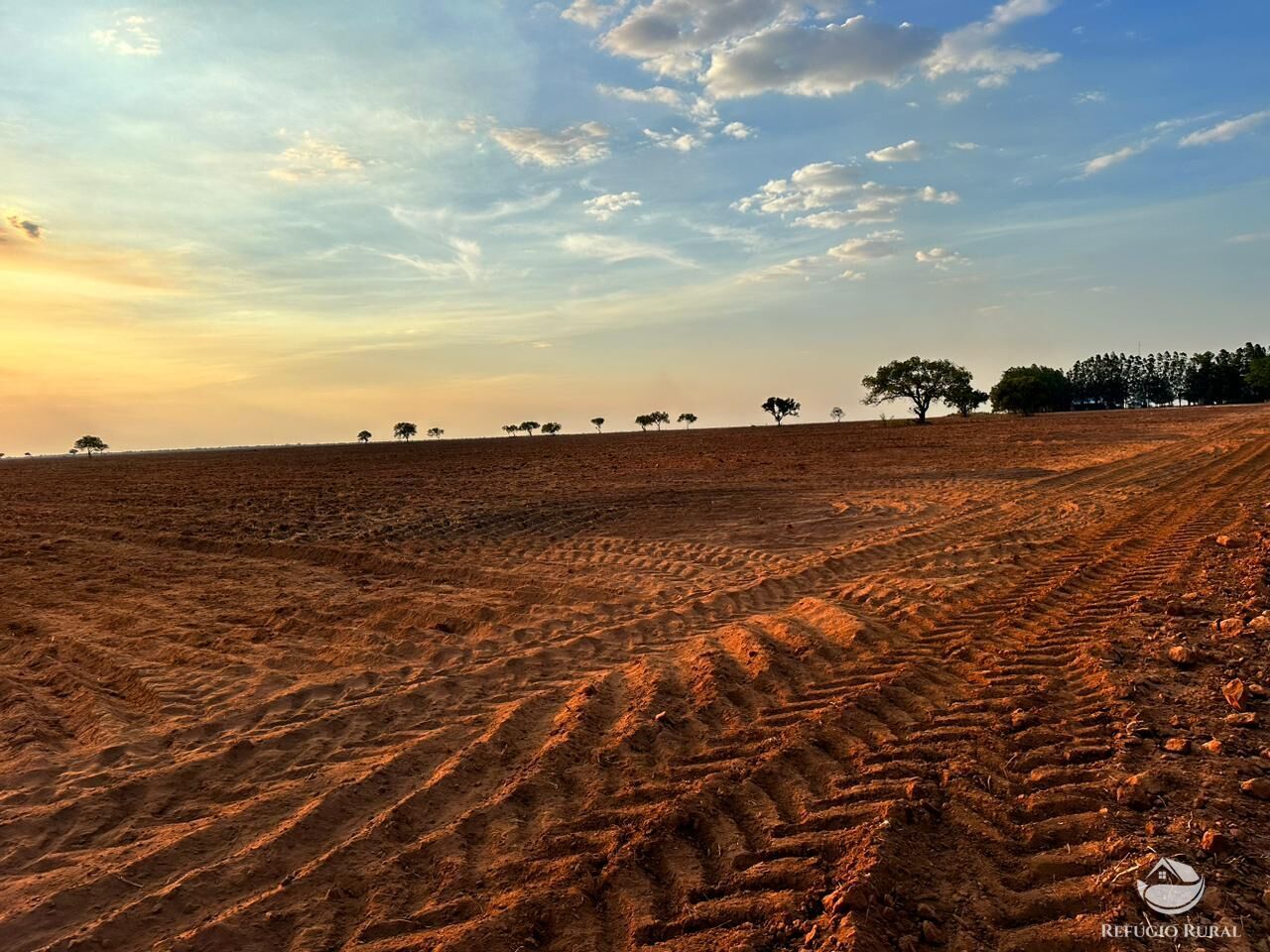 Fazenda à venda com 1 quarto, 110000000m² - Foto 10