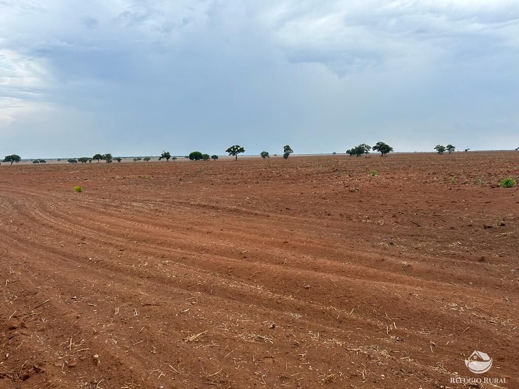 Fazenda à venda com 1 quarto, 110000000m² - Foto 7