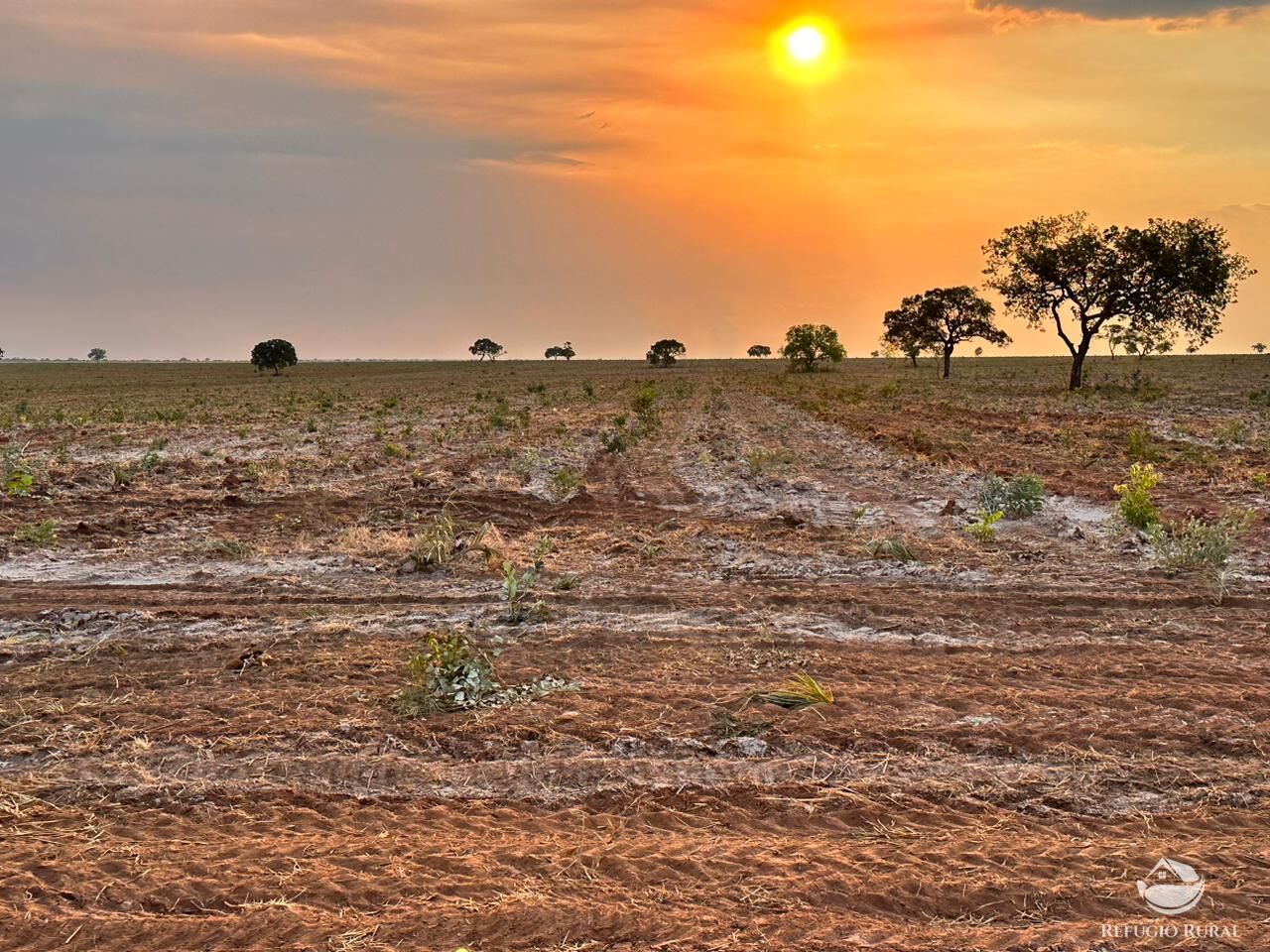 Fazenda à venda com 1 quarto, 110000000m² - Foto 2