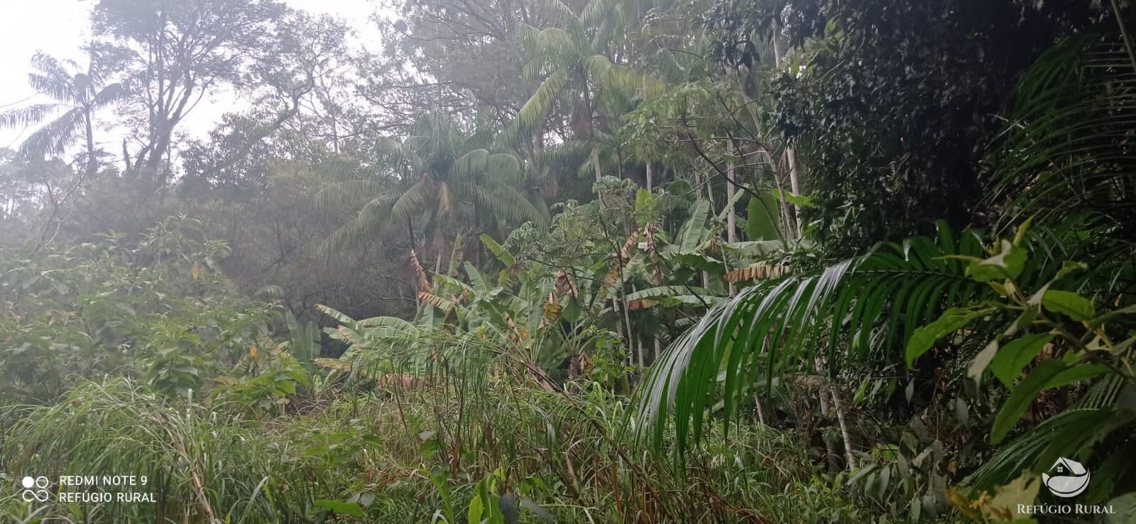 Terreno, 36 hectares - Foto 8