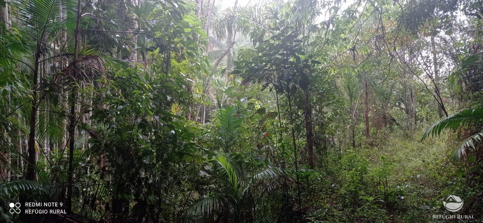 Terreno, 36 hectares - Foto 10