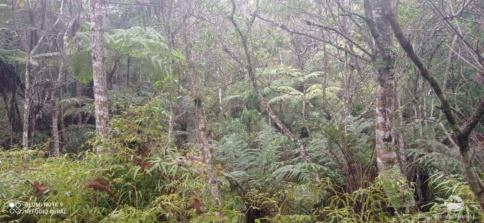 Terreno, 36 hectares - Foto 14