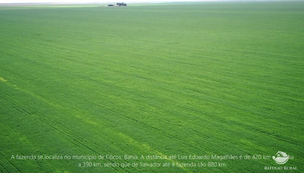 Fazenda à venda com 2 quartos, 130350000m² - Foto 4