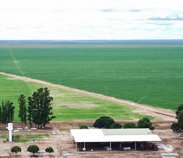 Fazenda à venda com 2 quartos, 130350000m² - Foto 1