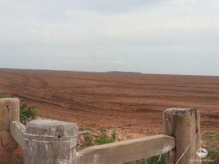 Fazenda à venda com 2 quartos, 130350000m² - Foto 5