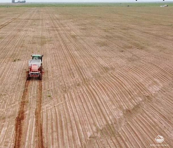 Fazenda à venda com 2 quartos, 130350000m² - Foto 6