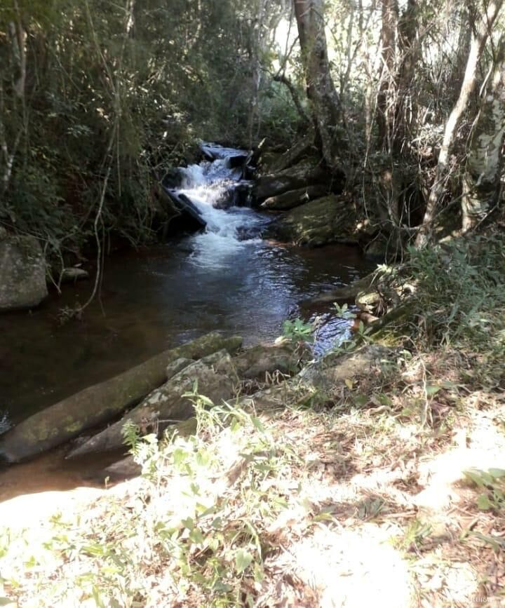 Terreno à venda, 24200m² - Foto 1