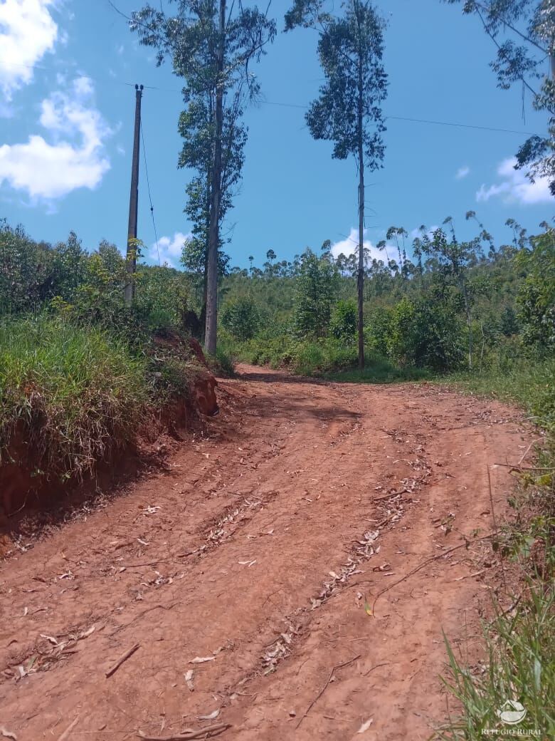 Fazenda à venda, 266200m² - Foto 3