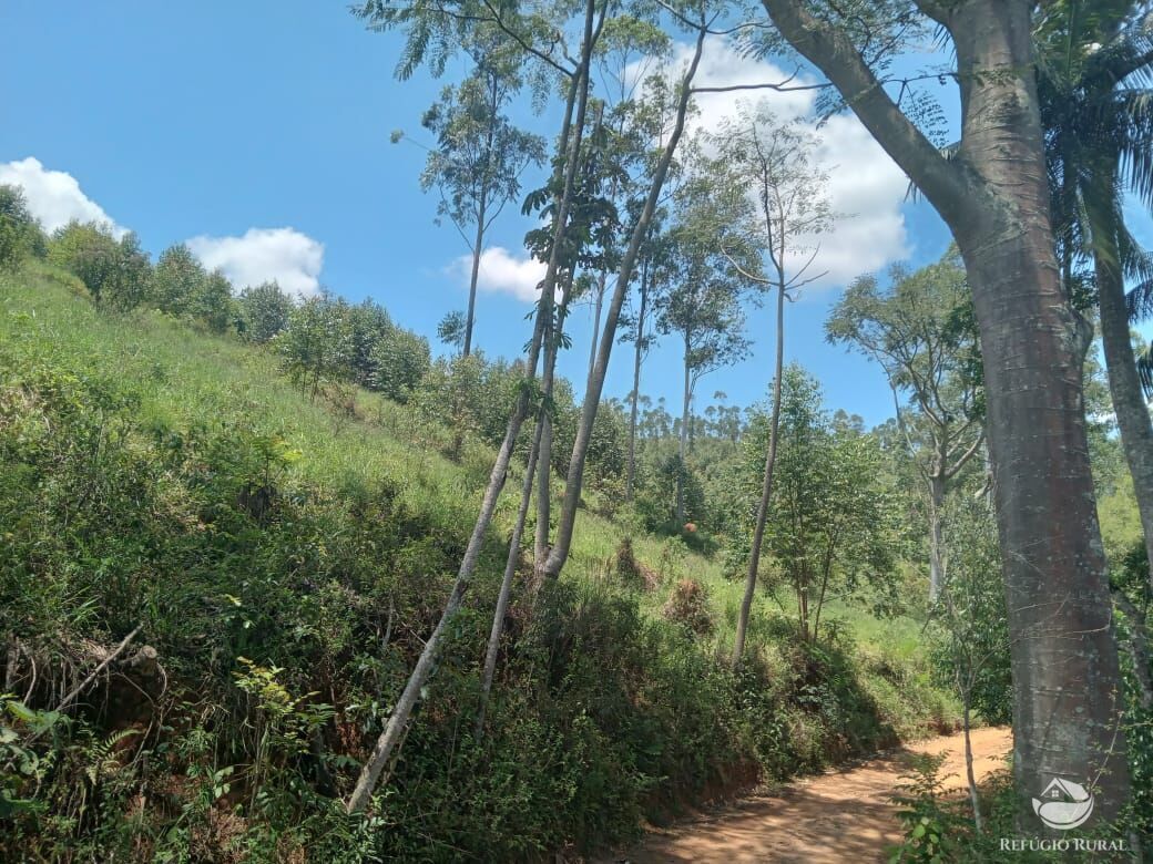 Fazenda à venda, 266200m² - Foto 1