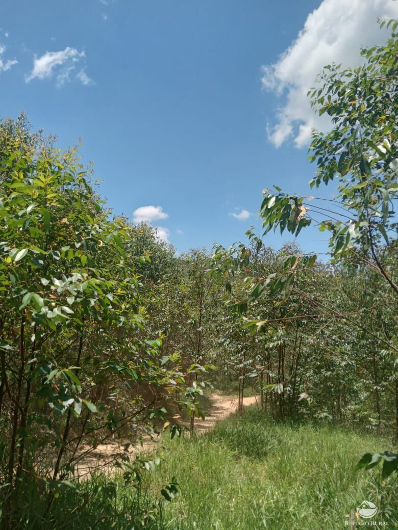 Fazenda à venda, 266200m² - Foto 2