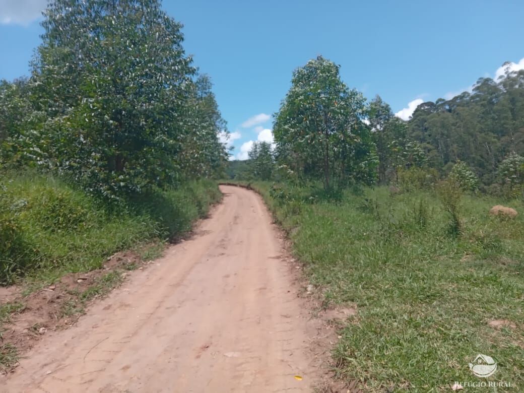 Fazenda à venda, 266200m² - Foto 8