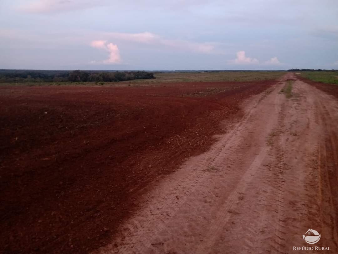 Fazenda à venda com 1 quarto, 13310000m² - Foto 8