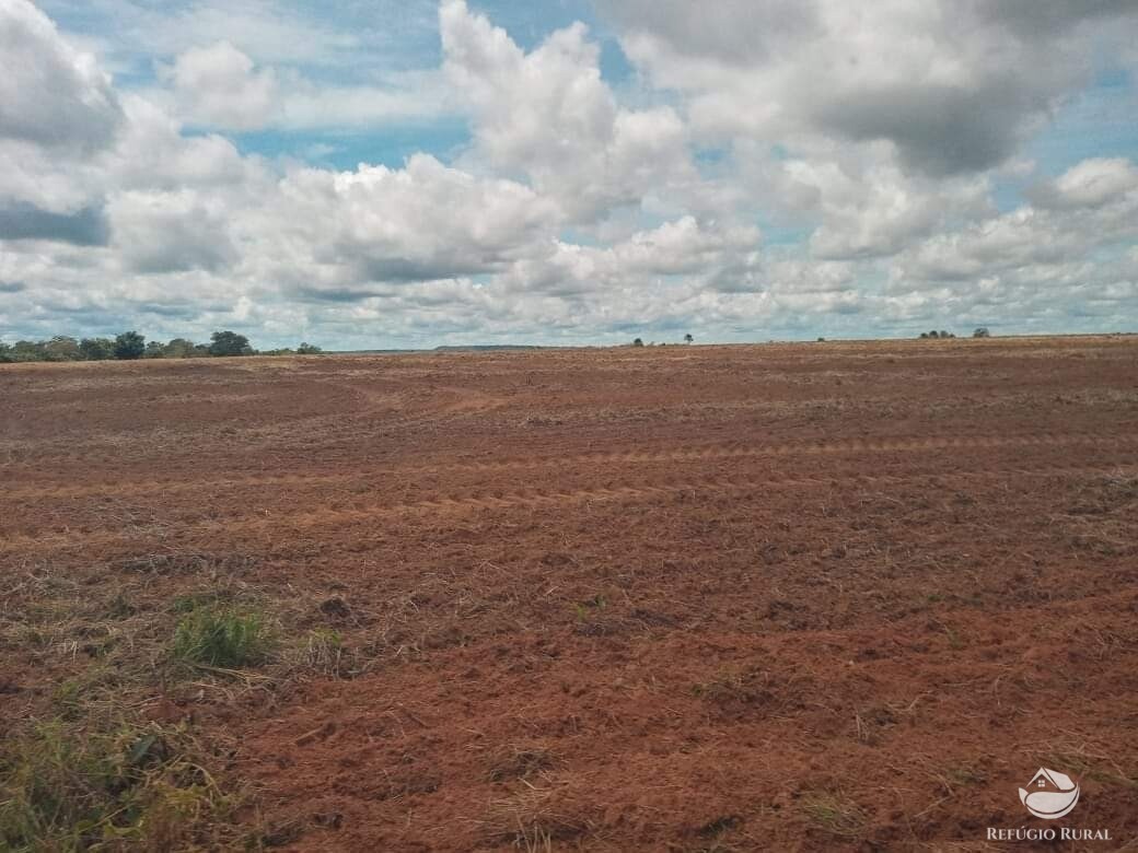 Fazenda à venda com 1 quarto, 13310000m² - Foto 3