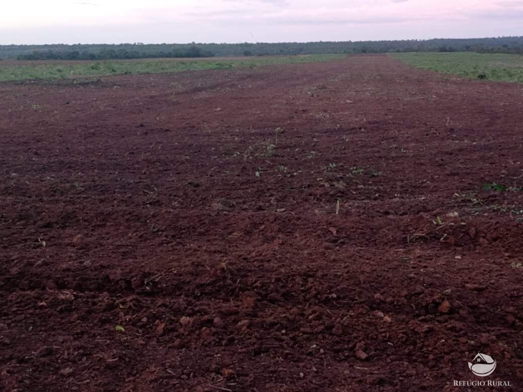 Fazenda à venda com 1 quarto, 13310000m² - Foto 4