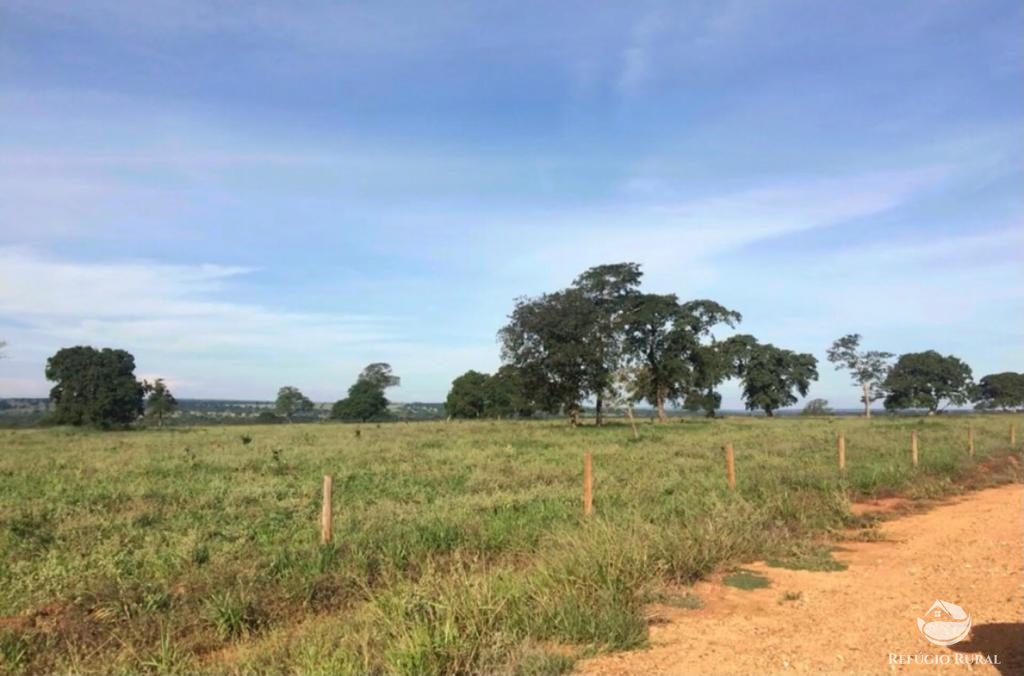 Fazenda à venda com 3 quartos, 21296000m² - Foto 6