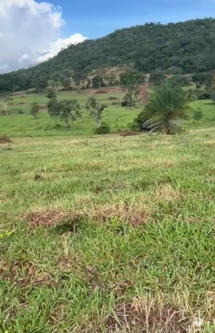 Fazenda à venda com 1 quarto, 300000m² - Foto 1