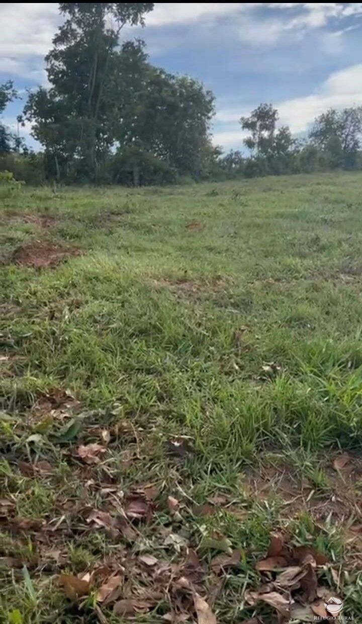 Fazenda à venda com 1 quarto, 300000m² - Foto 3