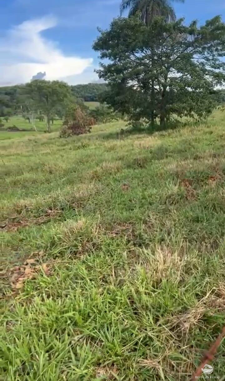 Fazenda à venda com 1 quarto, 300000m² - Foto 2