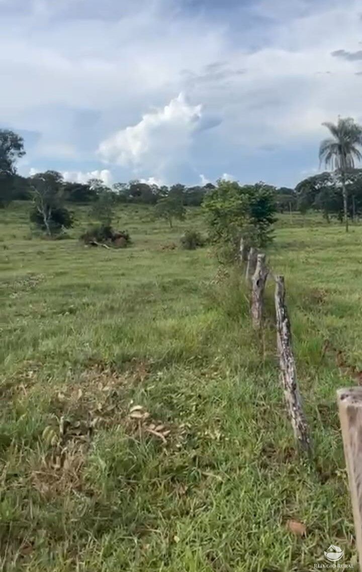 Fazenda à venda com 1 quarto, 300000m² - Foto 5