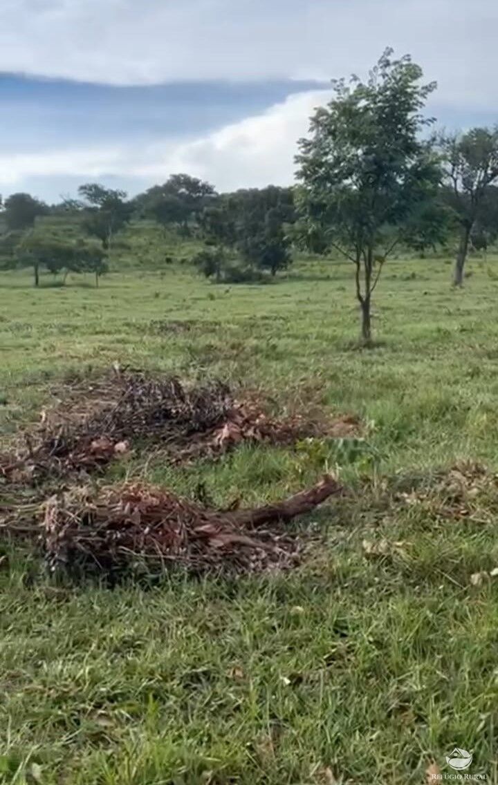 Fazenda à venda com 1 quarto, 300000m² - Foto 4