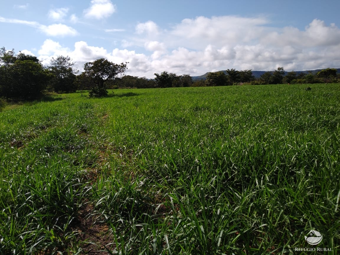 Fazenda à venda com 14 quartos, 198198000m² - Foto 17