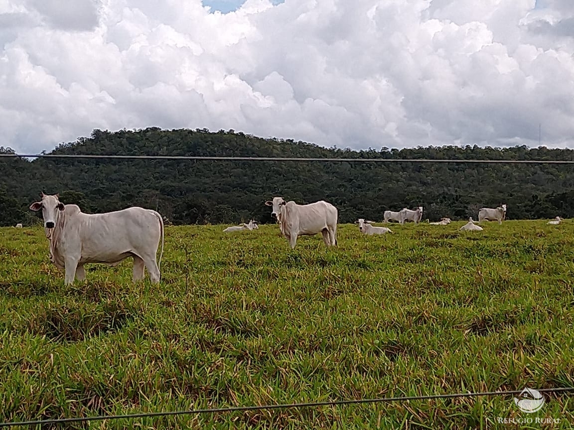 Fazenda à venda com 14 quartos, 198198000m² - Foto 9