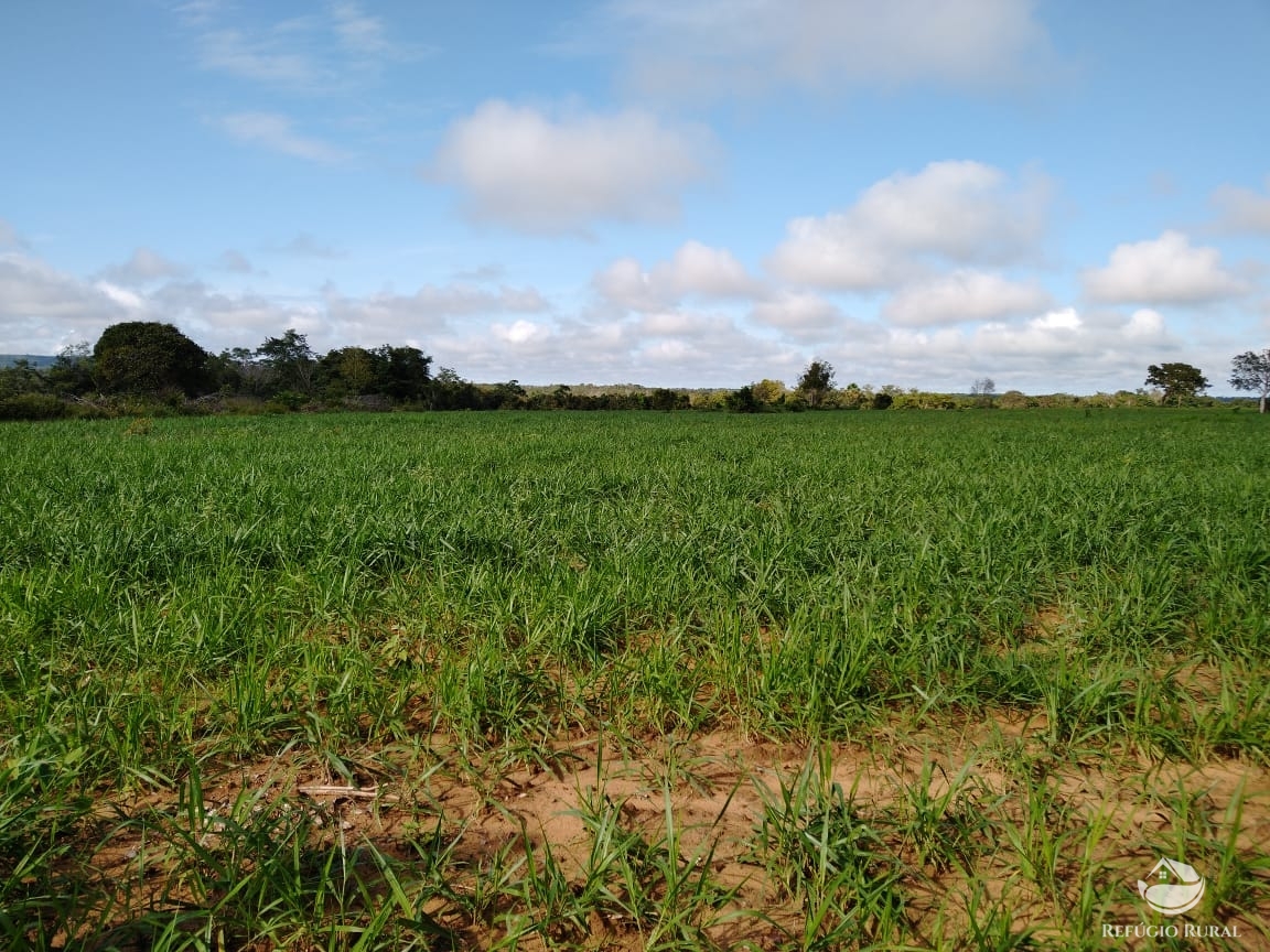 Fazenda à venda com 14 quartos, 198198000m² - Foto 15