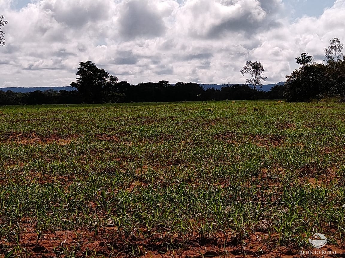 Fazenda à venda com 14 quartos, 198198000m² - Foto 23