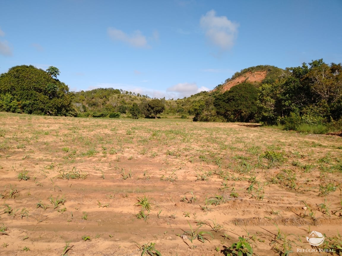 Fazenda à venda com 14 quartos, 198198000m² - Foto 19