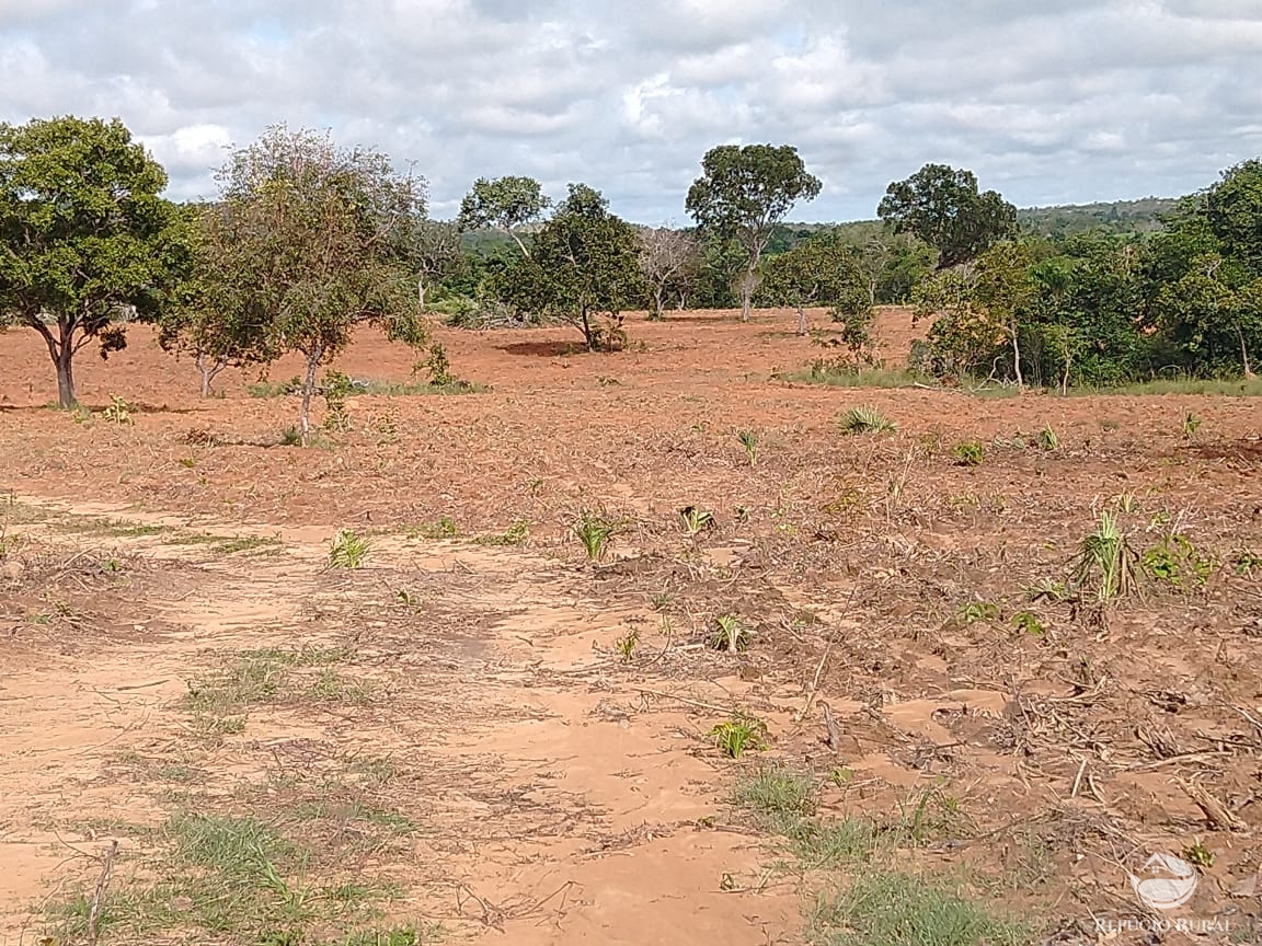 Fazenda à venda com 14 quartos, 198198000m² - Foto 14