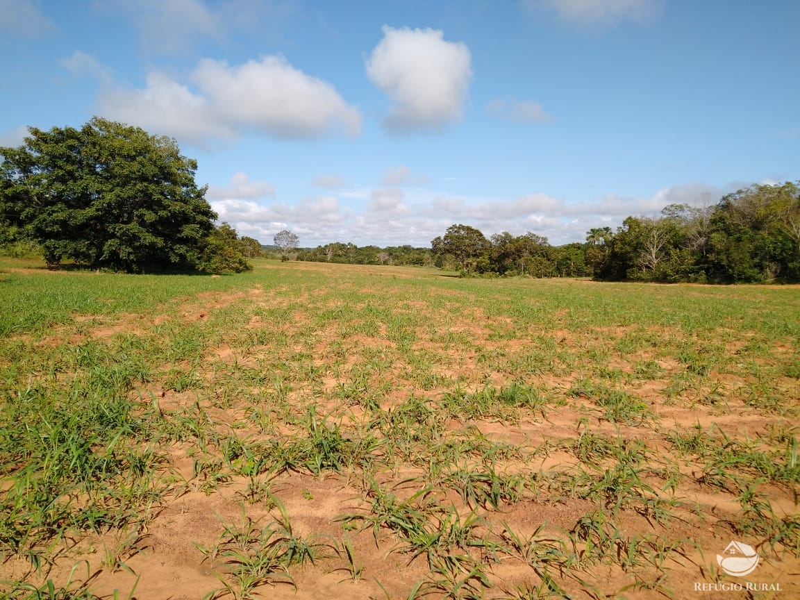 Fazenda à venda com 14 quartos, 198198000m² - Foto 24