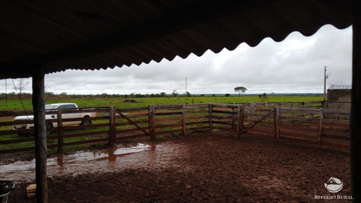 Fazenda à venda com 14 quartos, 198198000m² - Foto 10