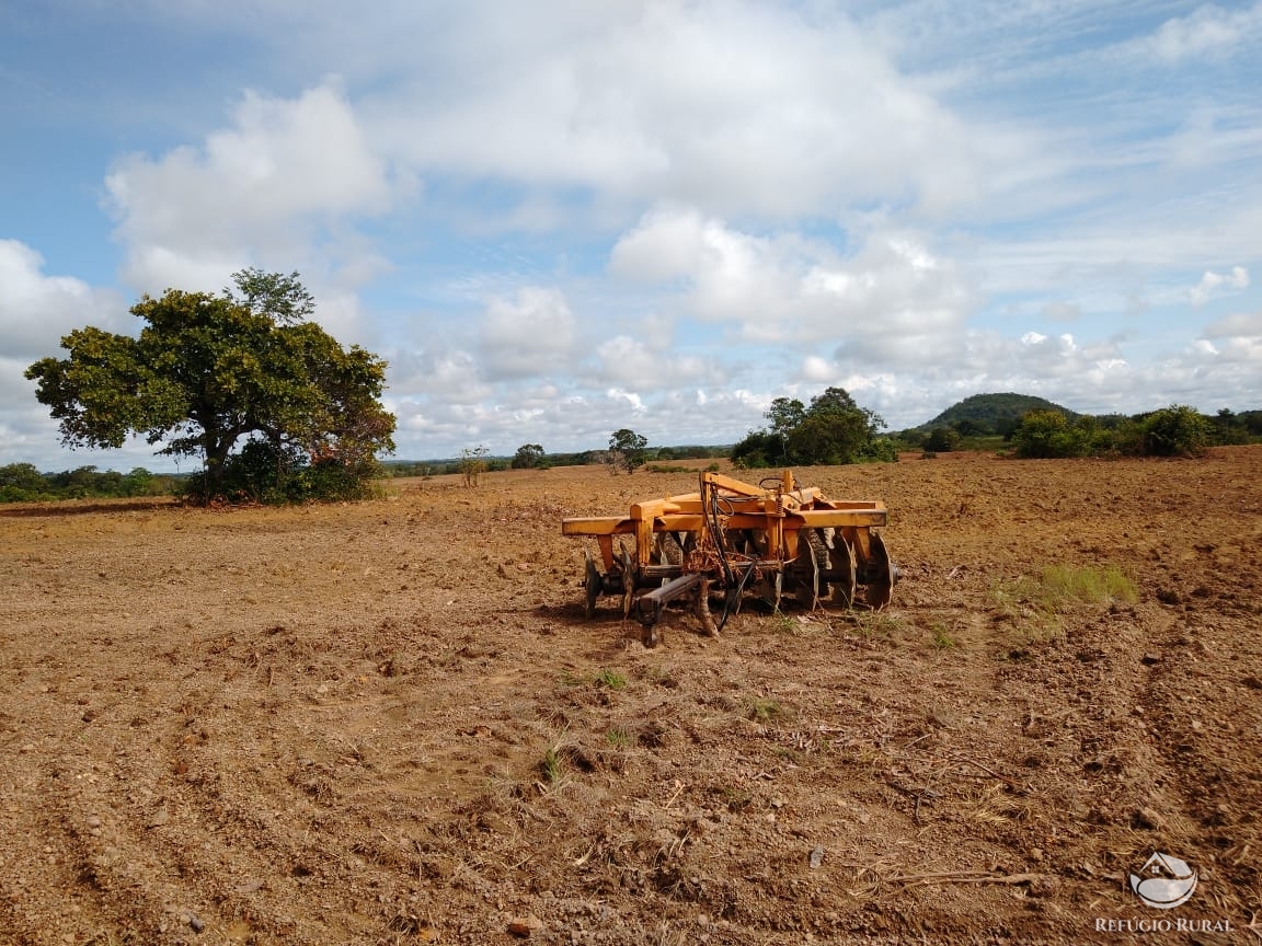 Fazenda à venda com 14 quartos, 198198000m² - Foto 22