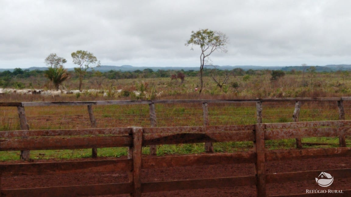 Fazenda à venda com 14 quartos, 198198000m² - Foto 6