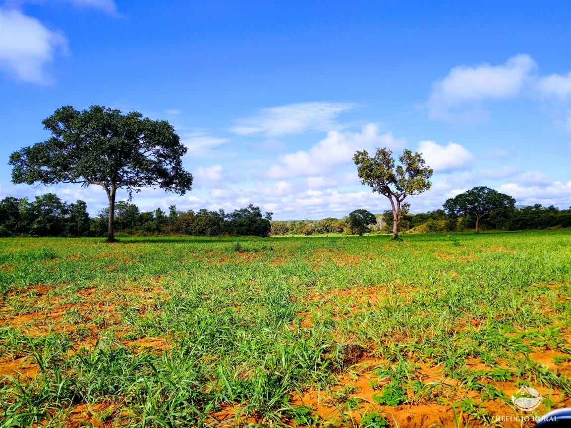 Fazenda à venda com 14 quartos, 198198000m² - Foto 3