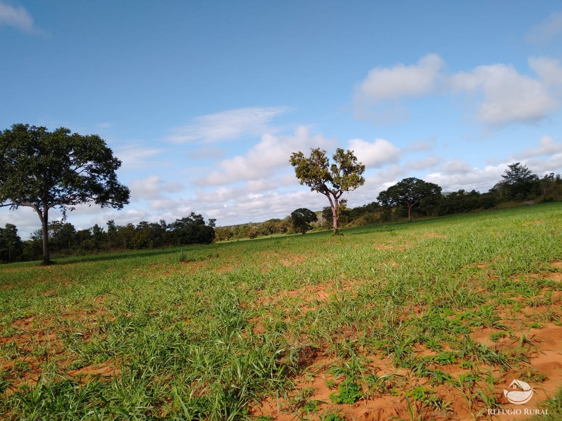 Fazenda à venda com 14 quartos, 198198000m² - Foto 16